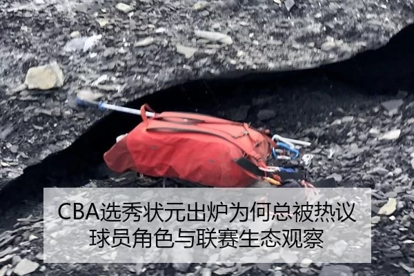 CBA选秀状元出炉为何总被热议 球员角色与联赛生态观察